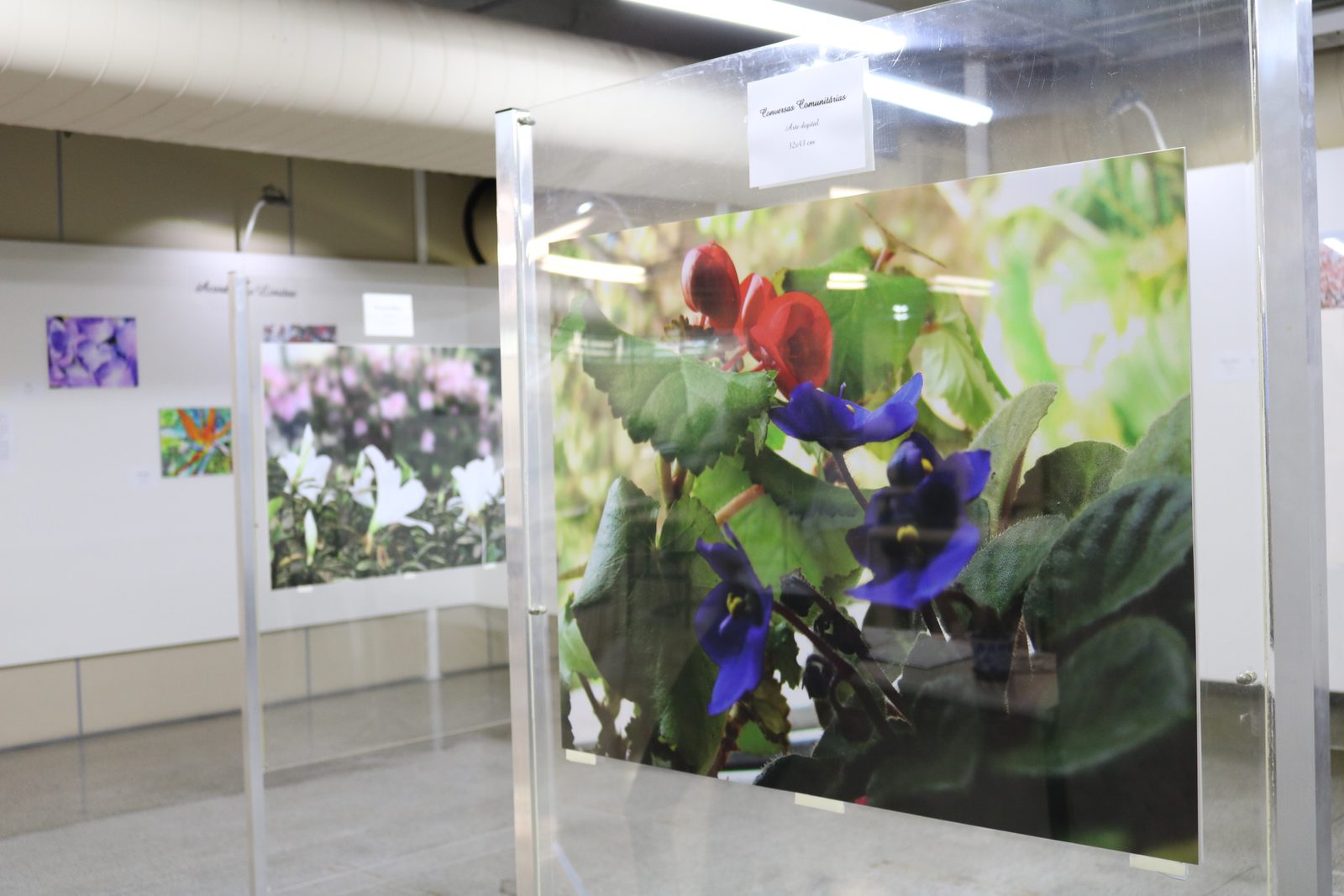 Obras de Lilian Siola em exposição