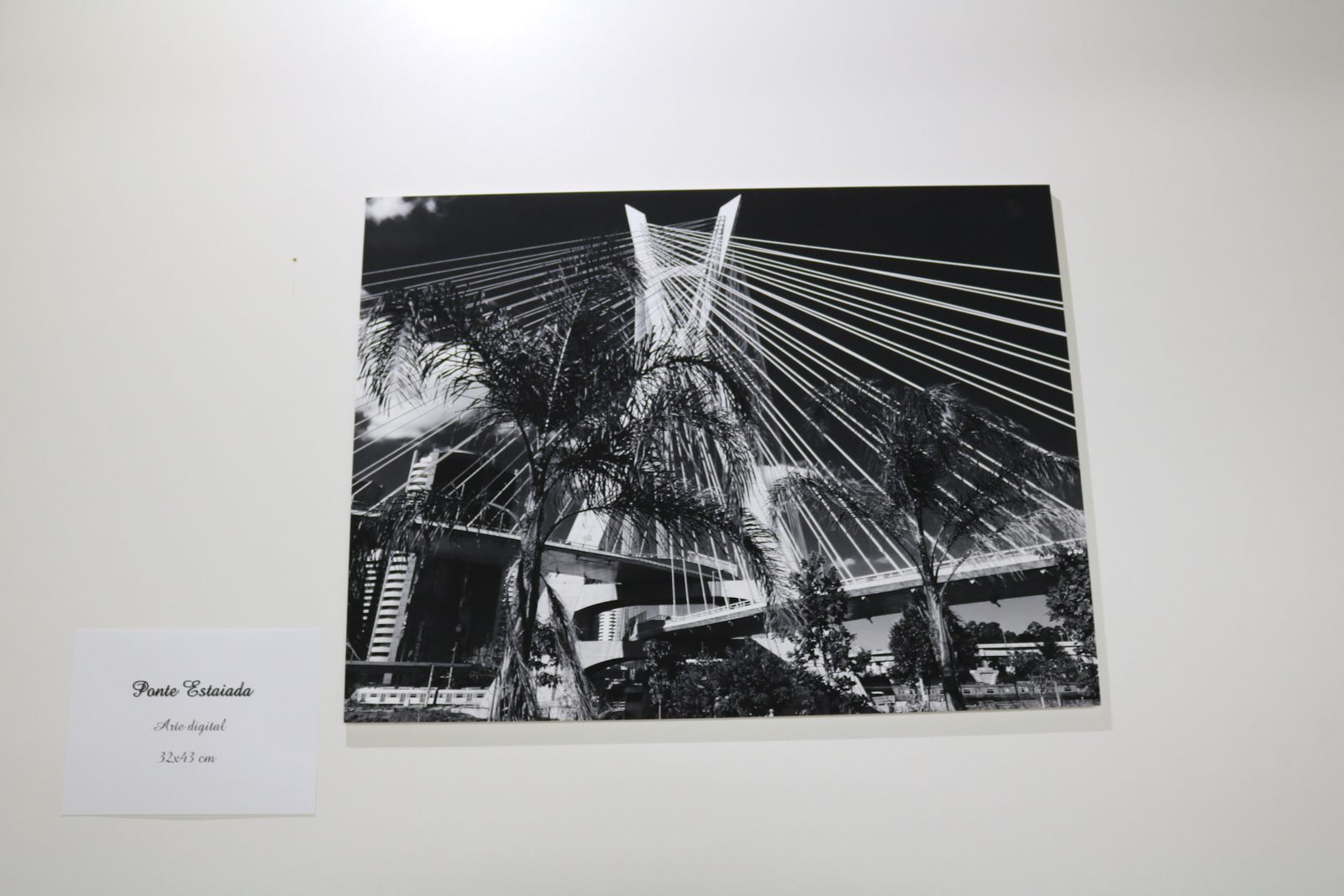 Fotografia em preto e branco · Arte digital