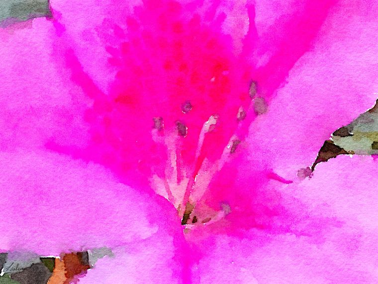 Pink Piece